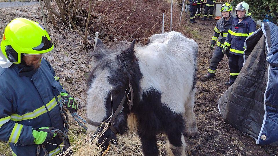 V Rotavě na Sokolovsku hasiči zachraňovali koně, který se nemohl zvednout